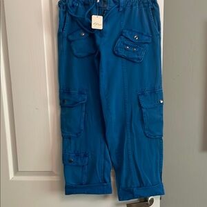 Free People Blue Cargo Pants